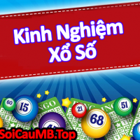 Mơ thấy con cua đánh lô đề con gì